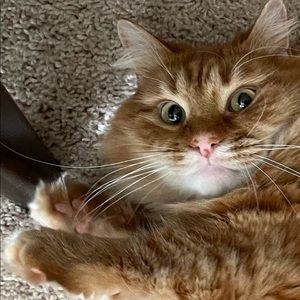 Meet your Posher, Katherine